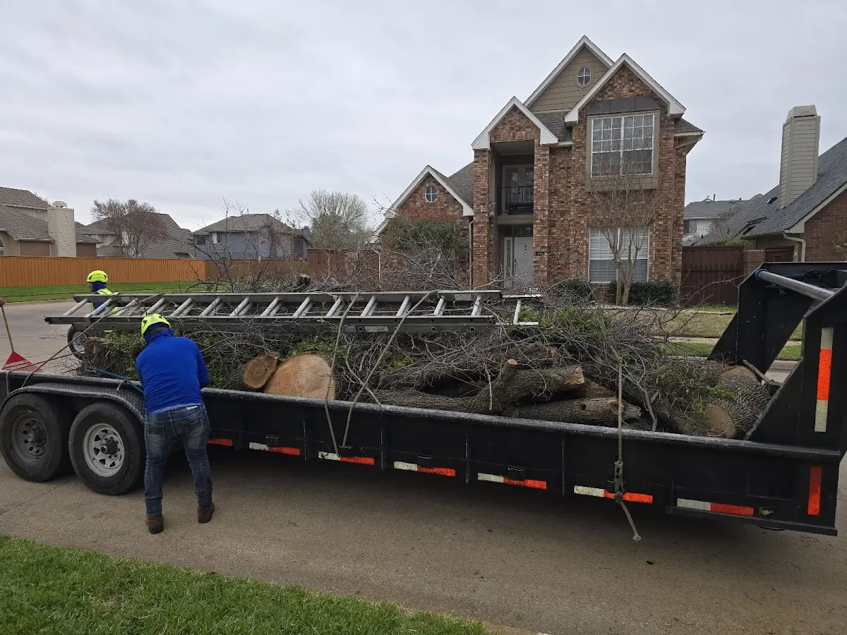 Expert Crown Reduction with proper safety equipment in Old Appleton